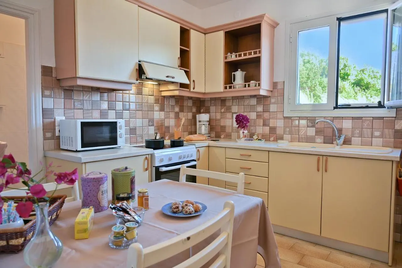 Villa Ireni Waterfont Фискардон 0*,